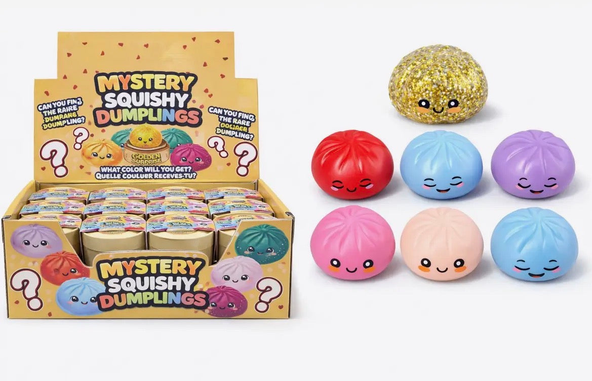 MYSTERY SQUISHY DUMPLING