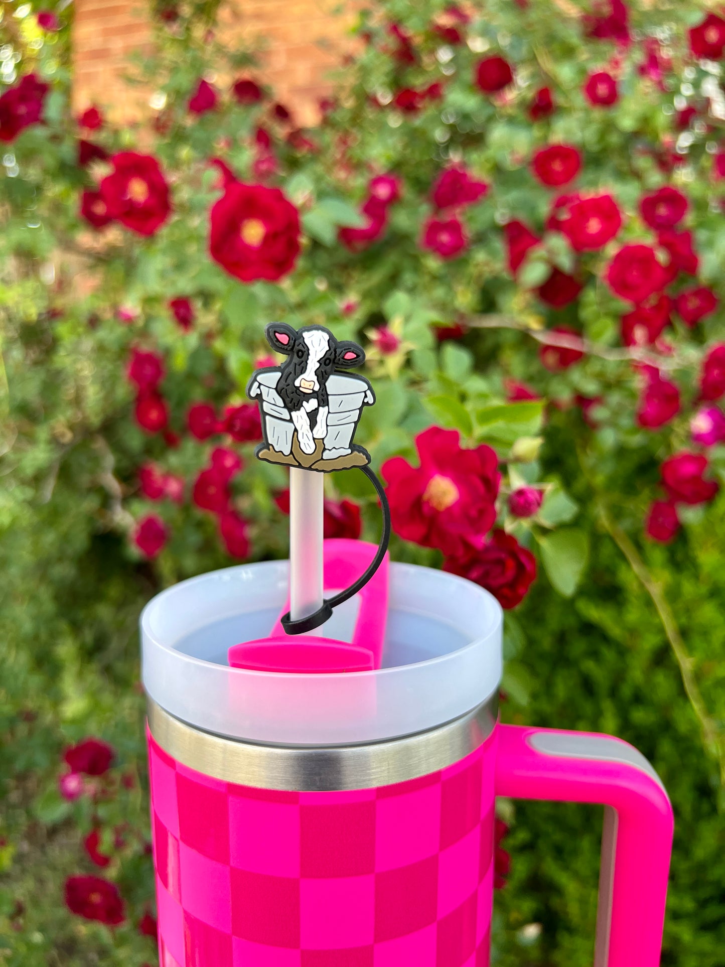 STRAW TOPPERS