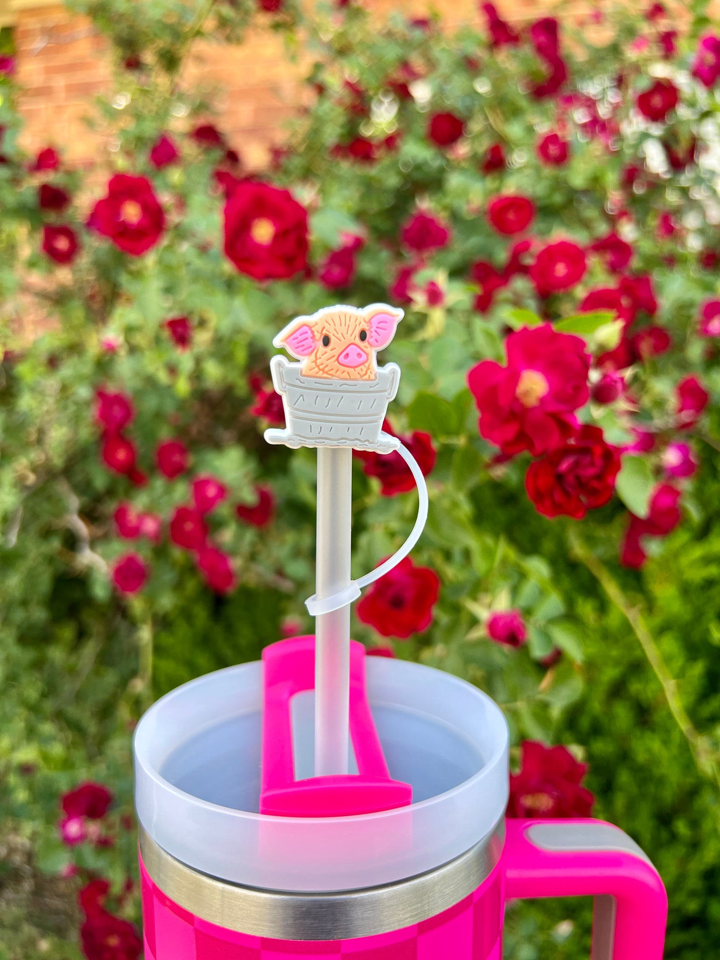 STRAW TOPPERS