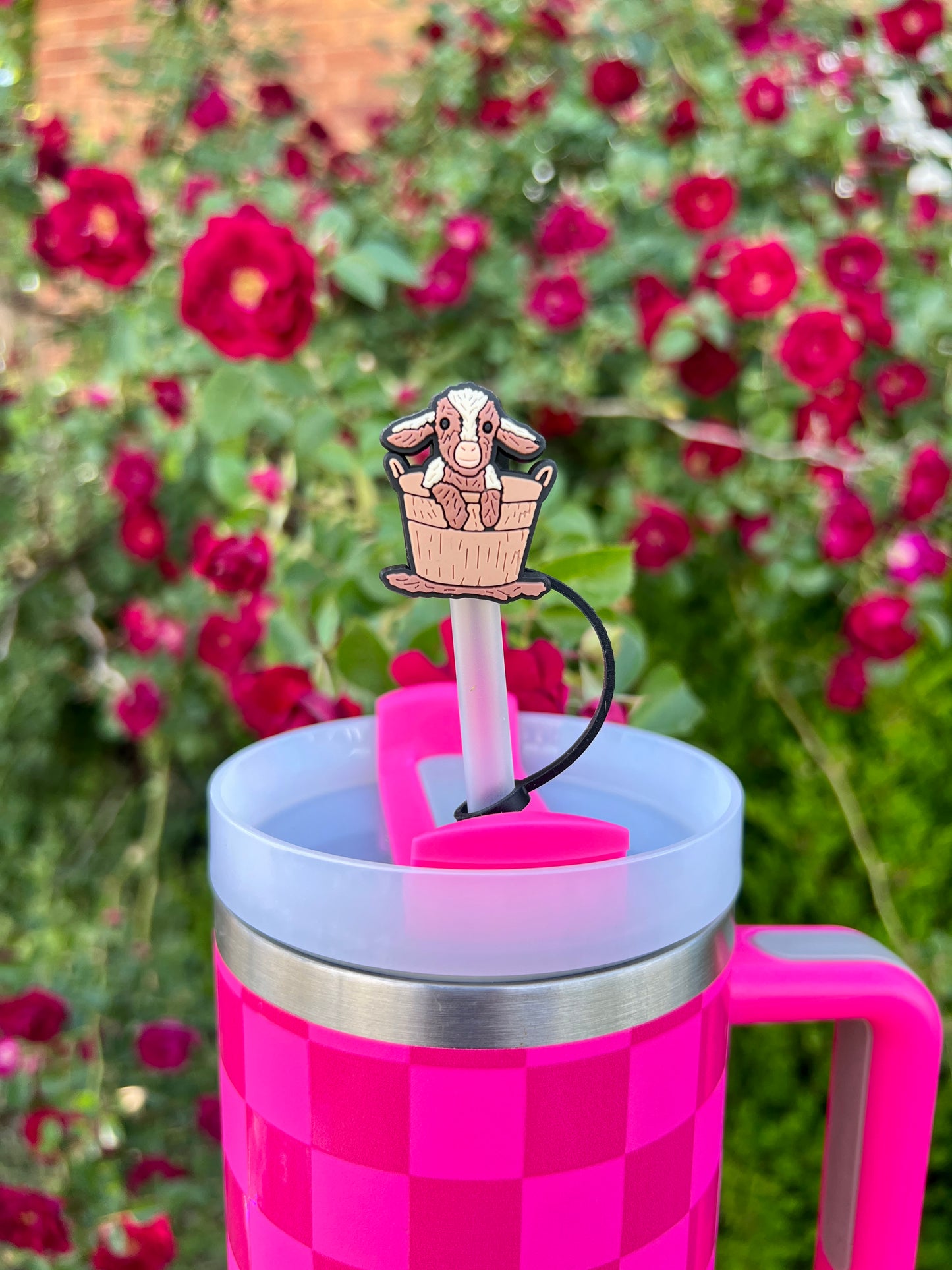 STRAW TOPPERS