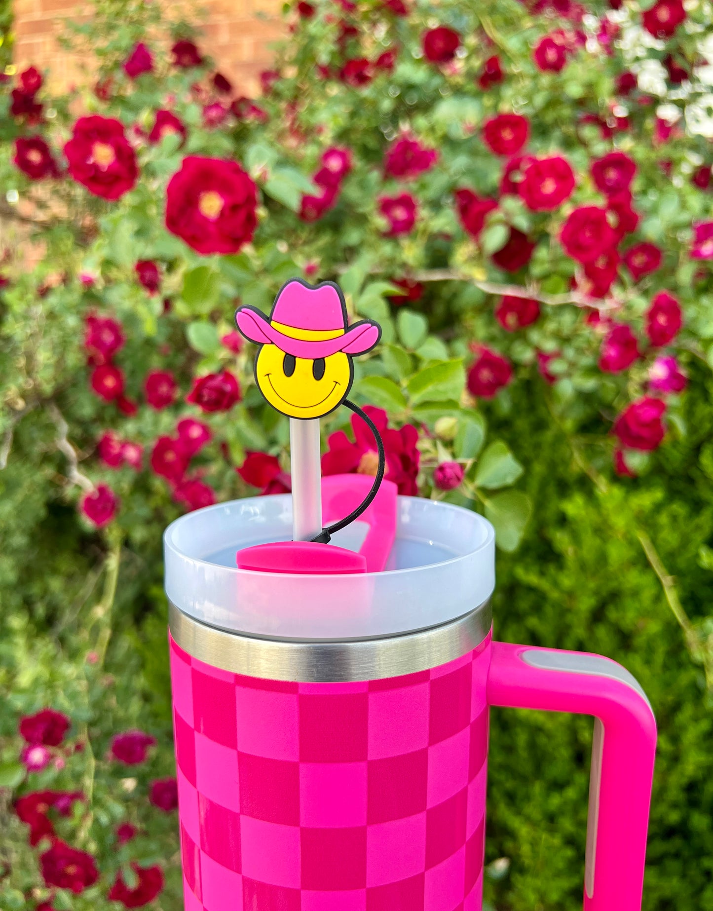 STRAW TOPPERS