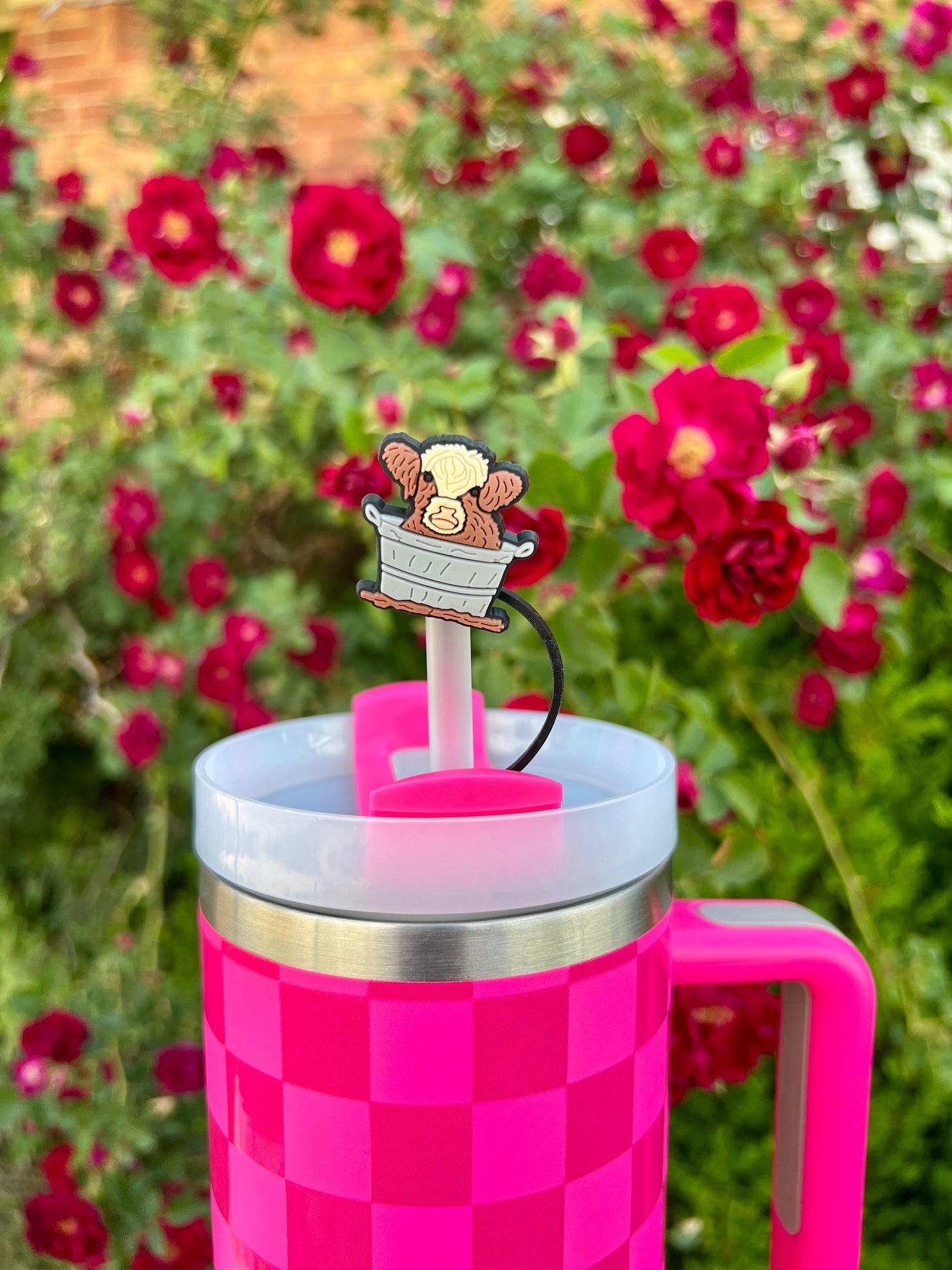 STRAW TOPPERS