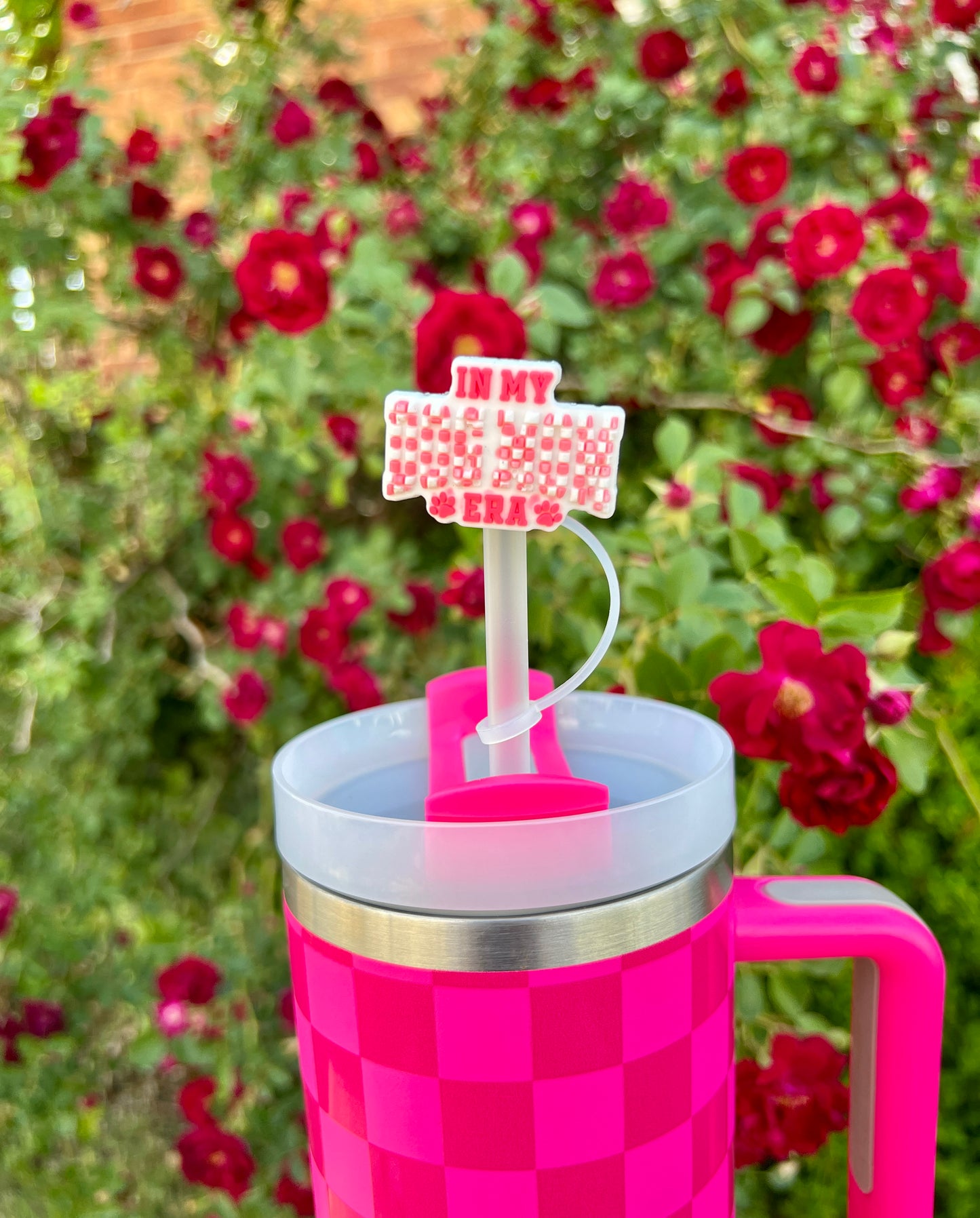 STRAW TOPPERS